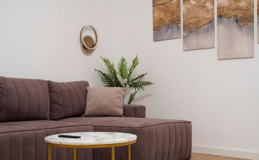 Coban Residence Apartments ブラショフ エクステリア 写真