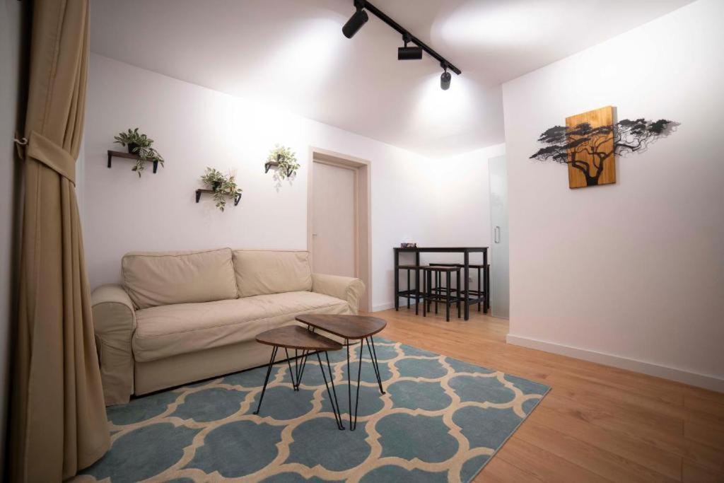 Coban Residence Apartments ブラショフ エクステリア 写真