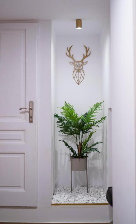 Coban Residence Apartments ブラショフ エクステリア 写真