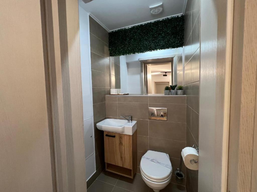 Coban Residence Apartments ブラショフ エクステリア 写真